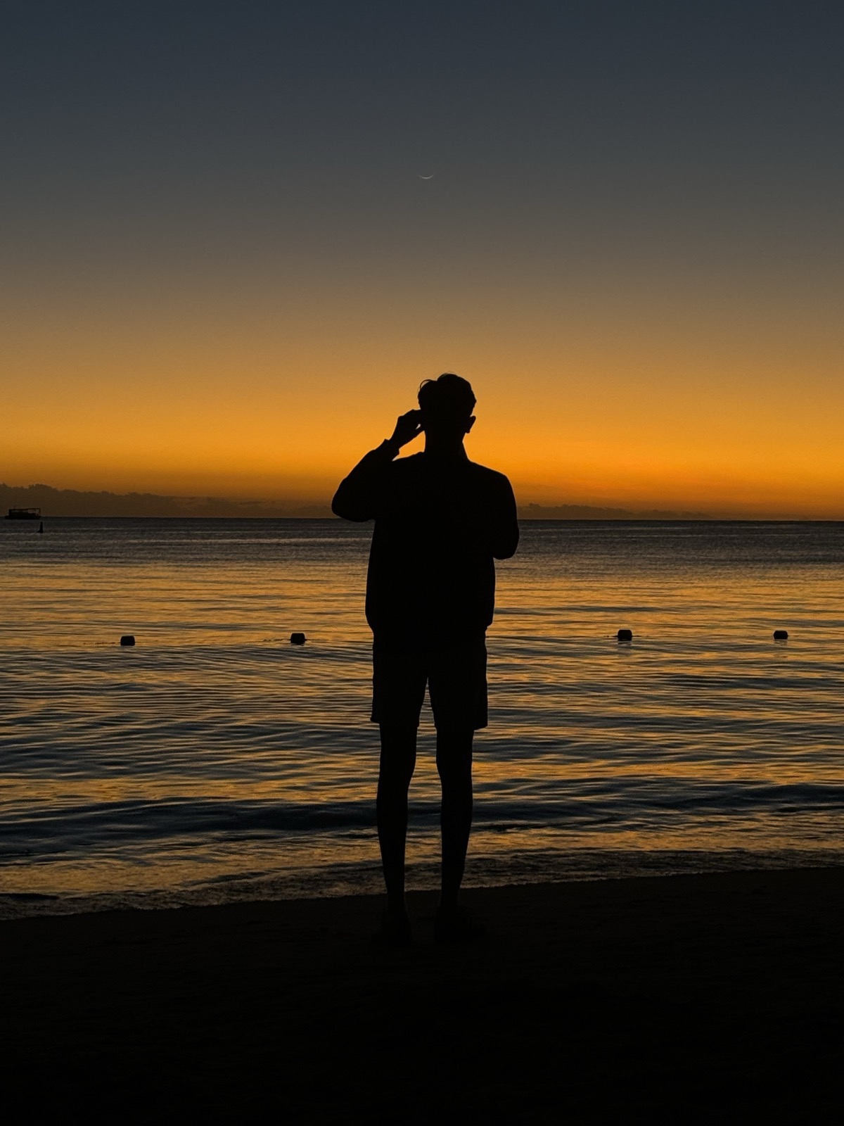 Silhouette of Devam at sunset on a Mauritius beach, golden sea behind